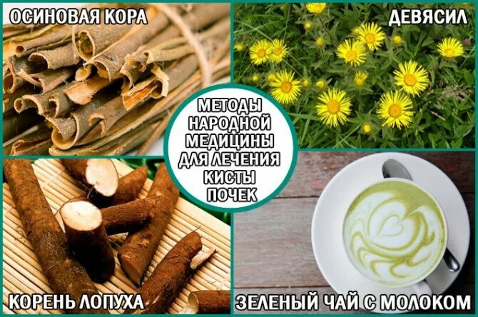 Лекарство от кисты почек. Киста на почке лечение народными средствами. Лечение кисты почек домашними средствами. Киста на почке лечение народными средствами. Лекарство таблетки почки киста.