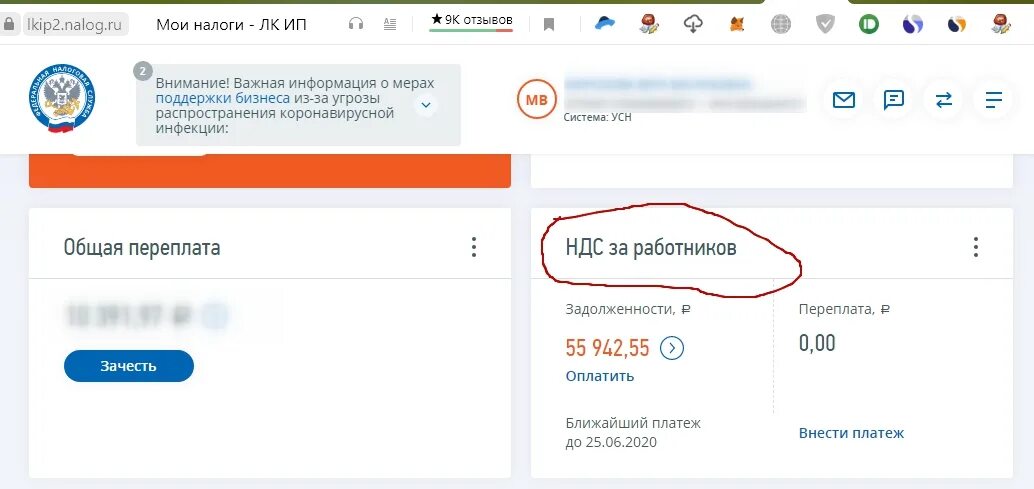 Налог ИП личный кабинет. В личном кабинете ИП - Мои налоги. Личный кабинет ИП УСН. Задолженность личный кабинет налоговой ИП. Платежа лк