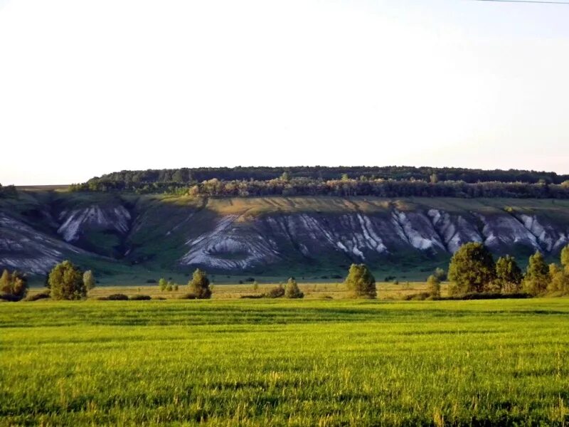 Рельеф села. Природа Корочанского района Белгородской области. Белгородская область Корочанский район рельеф. Формы земной поверхности Воронежской области. Белгородский район Белгородской области природа.