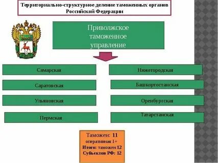 Территориальные органы федеральной таможенной службы