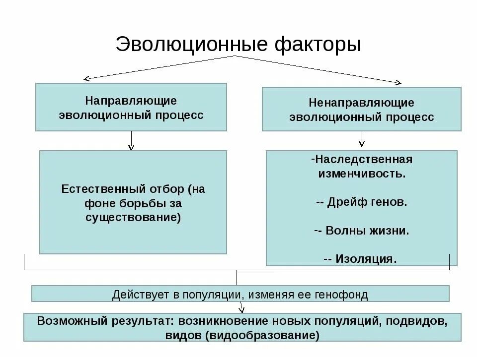 Эволюционные факторы направляющие эволюционный процесс. Элементарные факторы эволюции таблица биология 9 класс. Направляющие и Ненаправляющие факторы эволюции. Взаимодействие элементарных факторов эволюции..