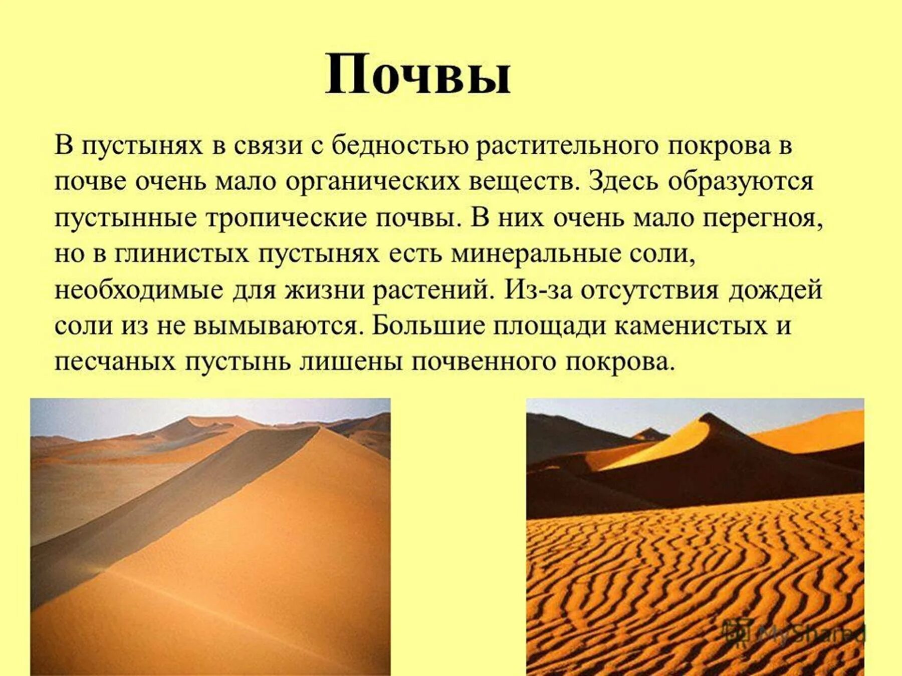 Какая почва в природной зоне пустыни. Полупустыни и пустыни почвы. Почвы тропических пустынь и полупустынь. Почвы пустынь и полупустынь Африки. Полупустыни и пустыни Африки почвы.