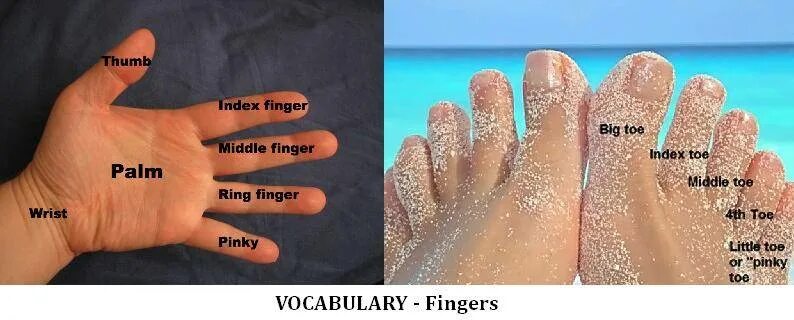 мыло перевести на английский. силиконовые формы для мыла. Luxury aleppo soap три мыла. мыло для отбеливания загара. карточки с английскими словами.