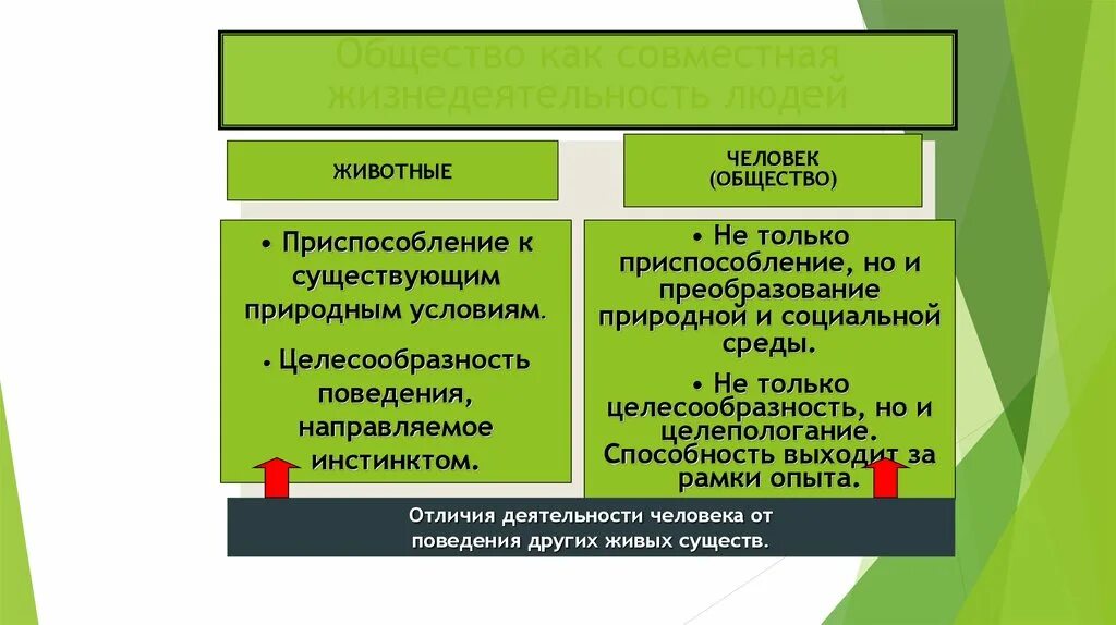 Общество как совместная жизнедеятельность. Общество как совместная жизнедеятельность людей кратко. Общество как совместная жизнедеятельность людей план. Общество как совместная жизнедеятельность людей план ЕГЭ. Общество и его виды.