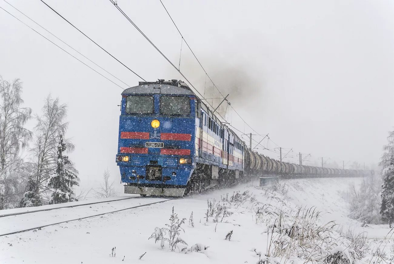 Электровоз с грузовым поездом 260. Тепловоз 2тэ116 РЖД. 2тэ116 1713. 2тэ116 зимой. 2тэ116 1694.