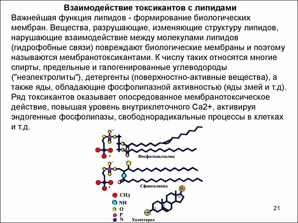 Связи липидов. Взаимодействие токсикантов с липидами. Функции липидов. Функции мембранных липидов. Биологические функции мембранных липидов.