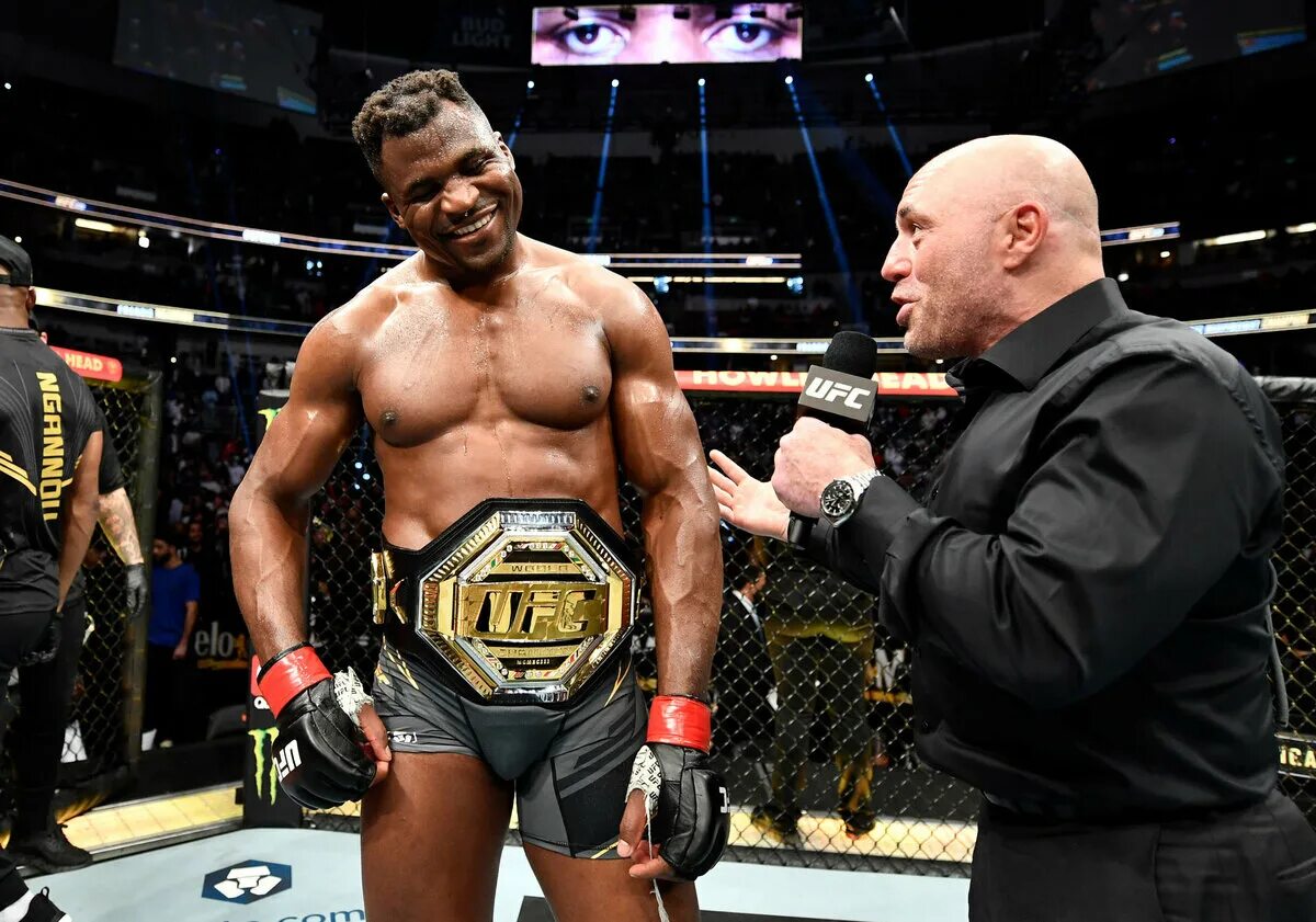Юфс нгану. Френсис нганоу. ngannou. нгану юфс. нганну мма.