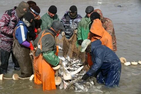 Суреттегі эротикалық массаж әдістері