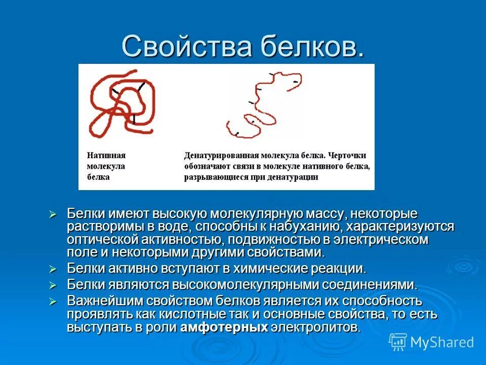 Свойства белков. Свойства нативных белков. Белки характеризуются. Нативные свойства белка это.