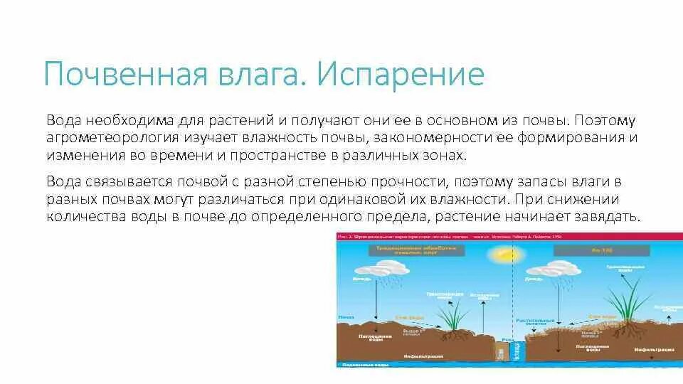 Как почва влияет на воздух