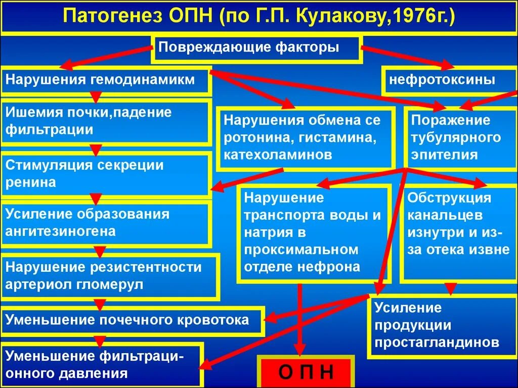 Каковы основные нарушения работы почек. Патогенез преренальной ОПН. Патогенез хронической почечной недостаточности схема. Острая почечная недостаточность этиология патогенез. Механизм развития преренальной острой почечной недостаточности.