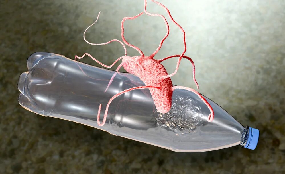 переработка пластика бактериями. бактерии поедающие пластик. Ideonella sakaiensis 201-f6 бактерия. бактерии перерабатывающие пластик. бактерии перерабатывающие нефть.