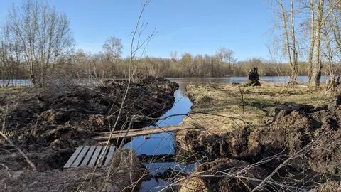 Когда дадут воду в архангельске