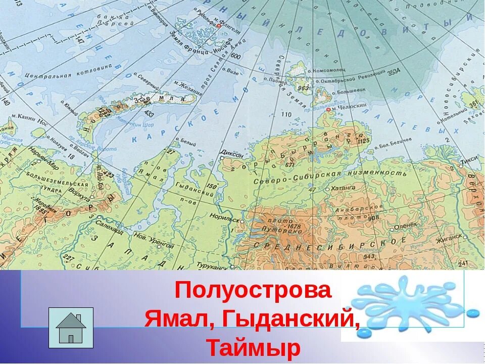 Примеры полуостровов в россии. П-ов Таймыр на карте Евразии. Ямал и Таймыр на карте России. Полуостров Таймыр на карте России. Таймыр на карте России.