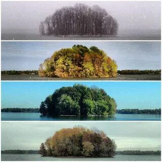 Природа в разных состояниях