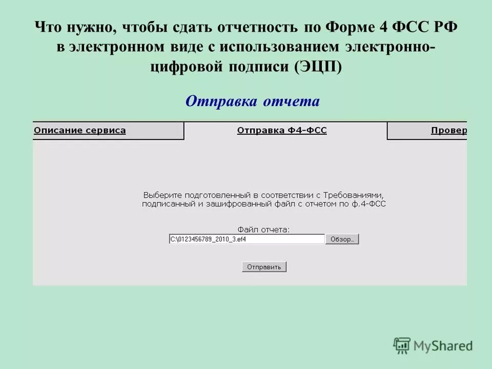 отчет в фнс. сдать отчетность без эцп. электронно цифровая подпись для сдачи отчетов. как узнать какие формы сдавать в статистику. преимущества электронной отчетности в фнс.