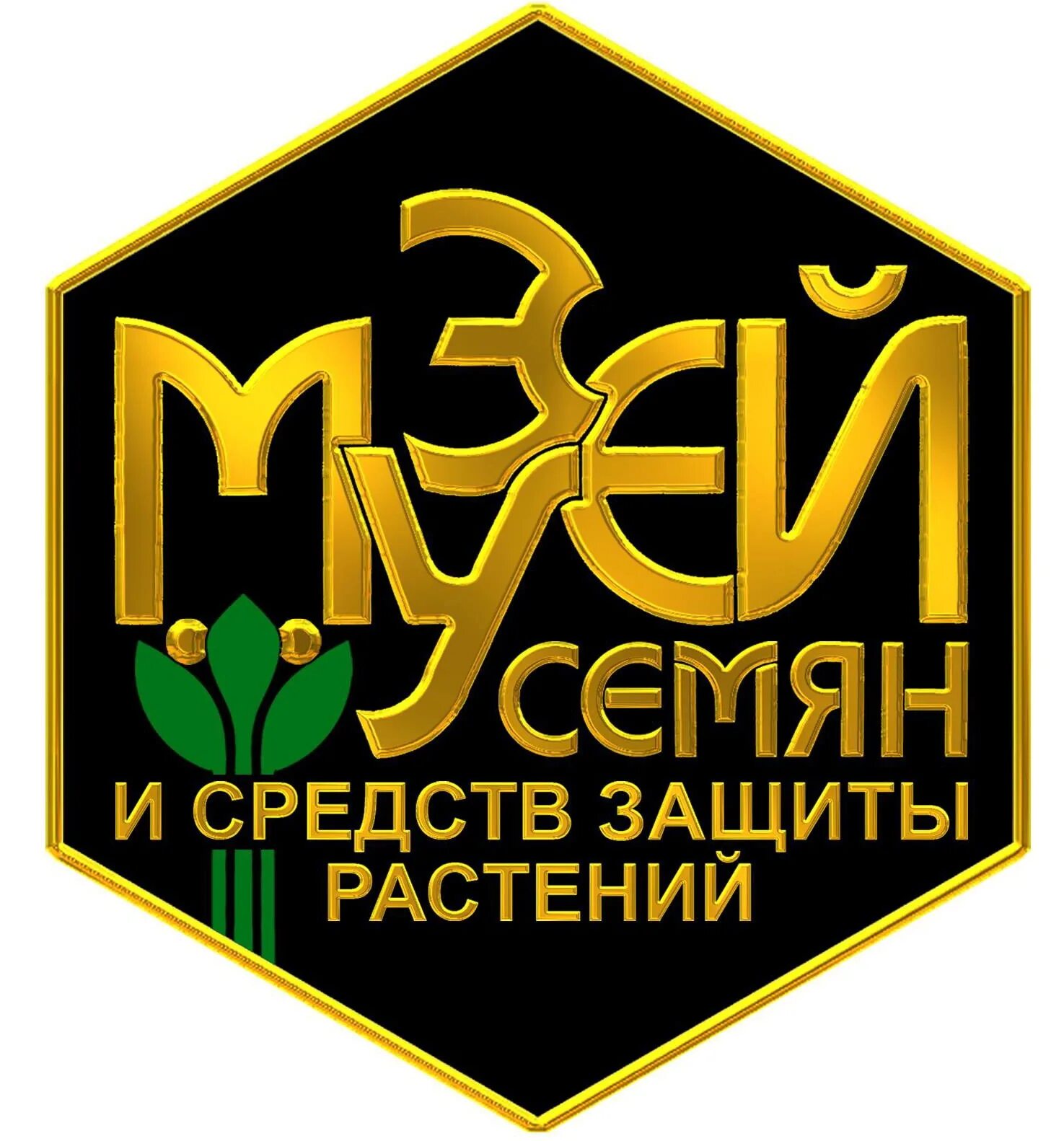 Музей семян волгоград. Логотип семечки.