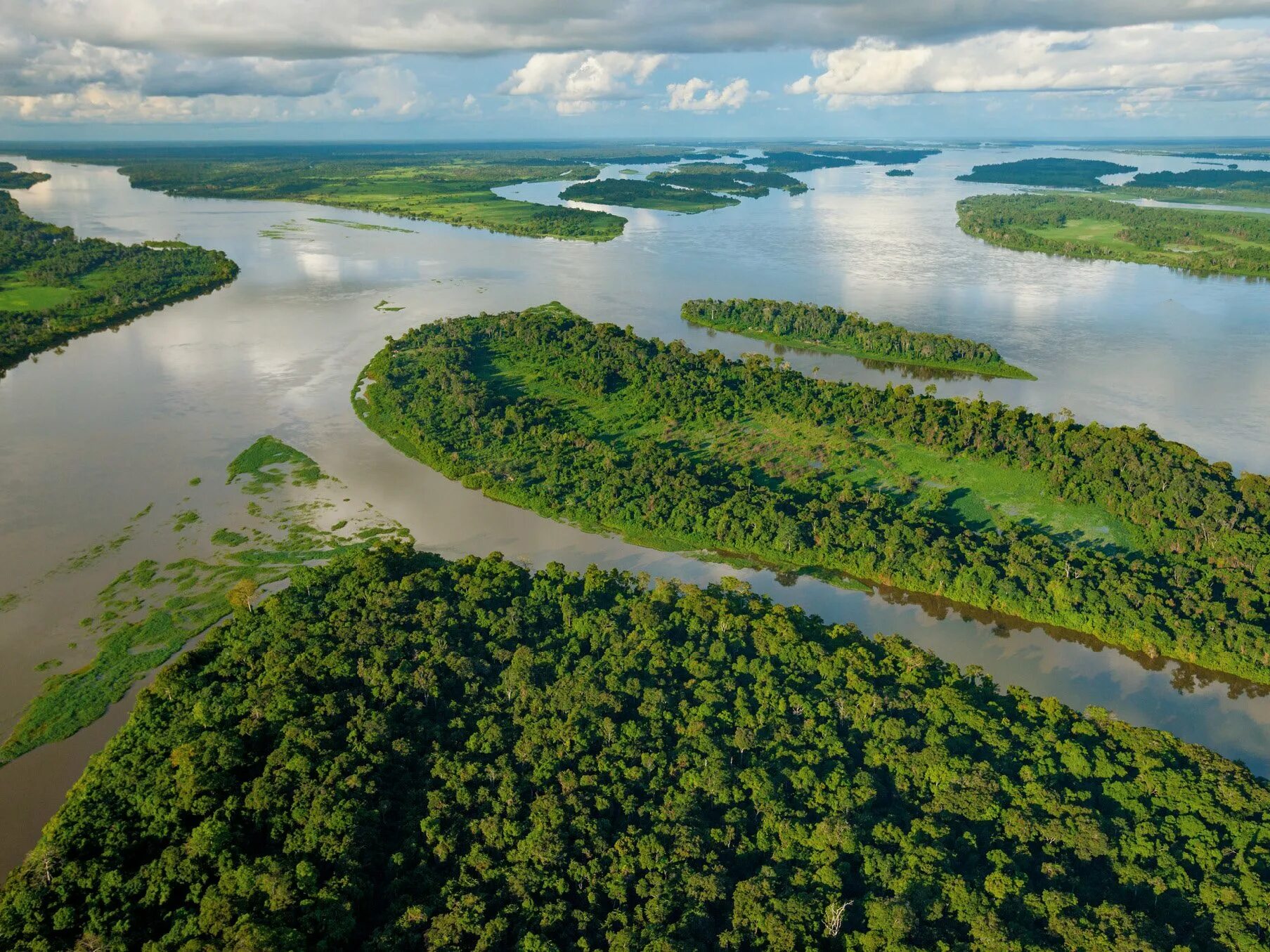 Полноводной реки страны. Бассейн реки Конго. Конго Заир река. Река Конго в Африке. Национальный парк Салонга в Африке.