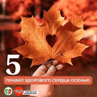 Годы как осенние листья