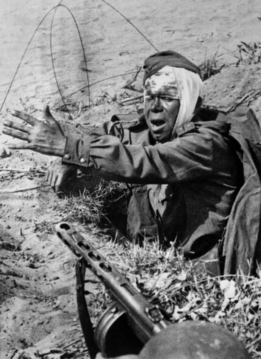 Уникальные фотографии времен Великой Отечественной войны в электронной базе прое
