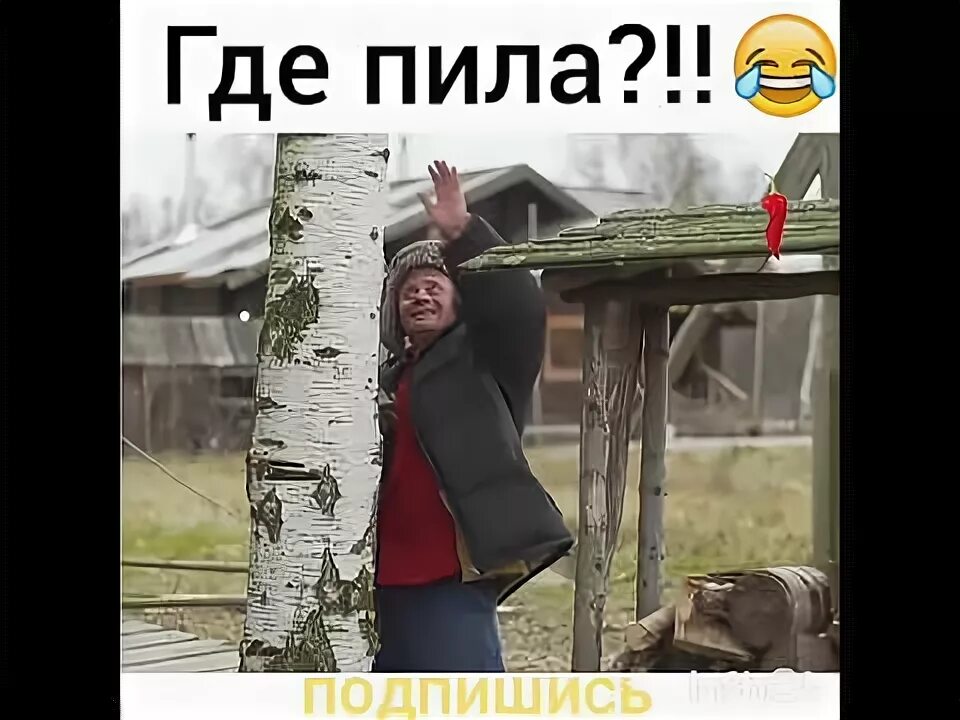 Где пьет песни. Где пьет песни. Где пьет песни. Где пьет песни. Клип питер ленинград.