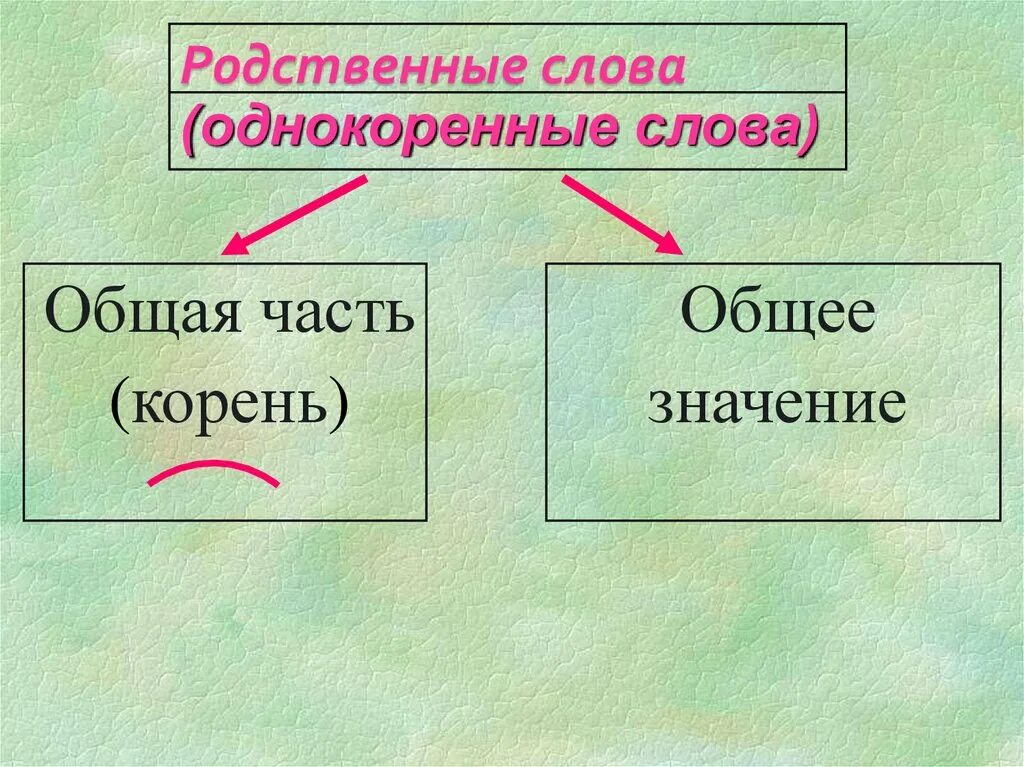 Родственная связь слов. Однокоренные родственные слова. Родственные слова правило. Набор однокоренных слов. Правила подбора однокоренных слов.