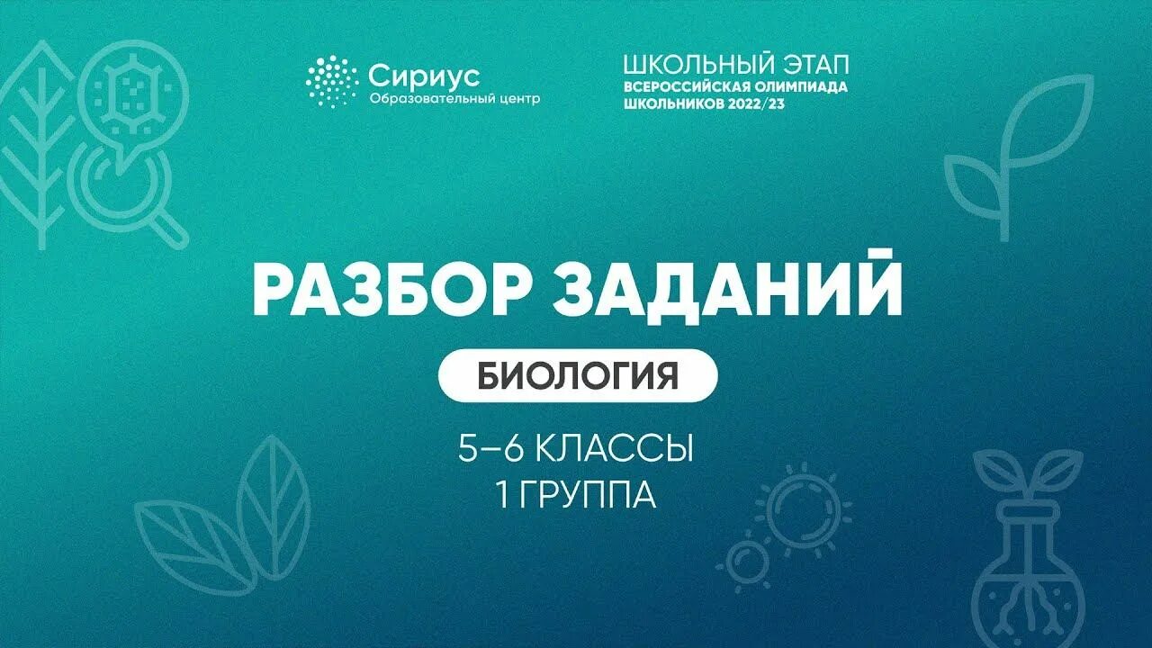 Олимпиады 5 класс 2022