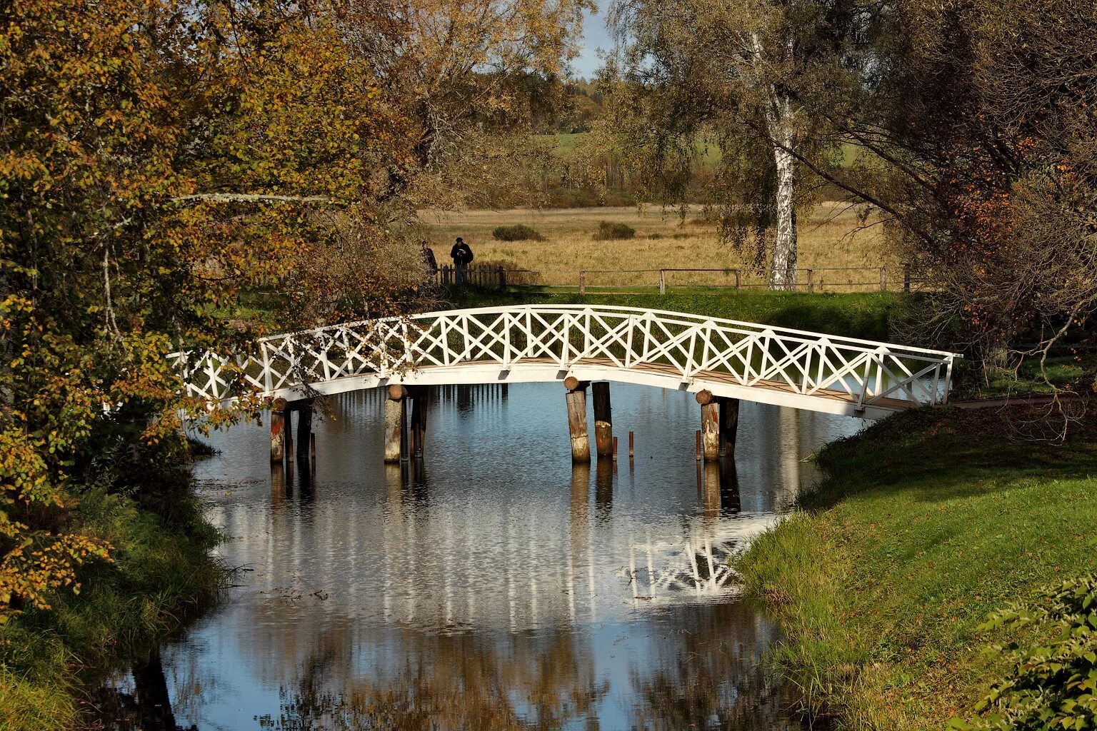 Усадьба михайловское пушгоры. Усадьба михайловское пушгоры осенью. Псков пушкинские горы усадьба пушкина. Пушкинские горы псков. Пушкинские горы михайловское тригорское.