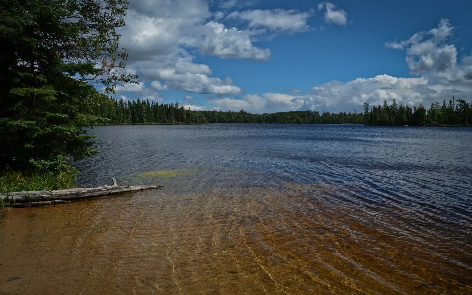 Фотографии берег озера. Фотографии берег озера. Озеро меларен. Берег озера селигер. Лето речка.
