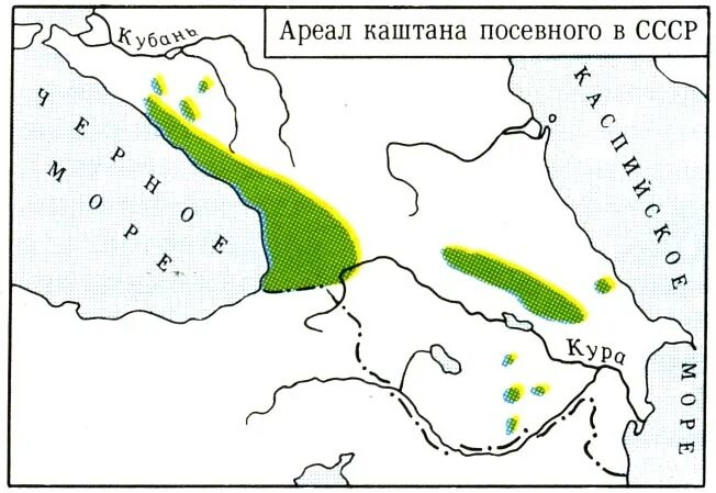 карта каштан. карта каштан. ареал лещины обыкновенной в россии. строение плода каштана. ареал орешника обыкновенной в россии.