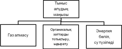 Орыстың қыздары ххх кастингін көреді
