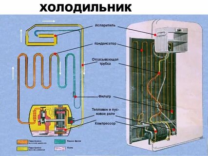 Где холодильная