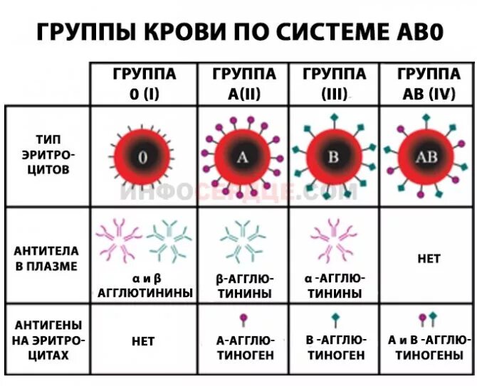 Допускается ли изменять