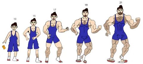 Muscle transformation