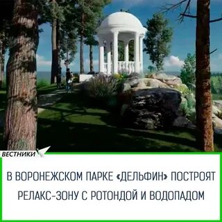 Парк дельфин воронеж аренда