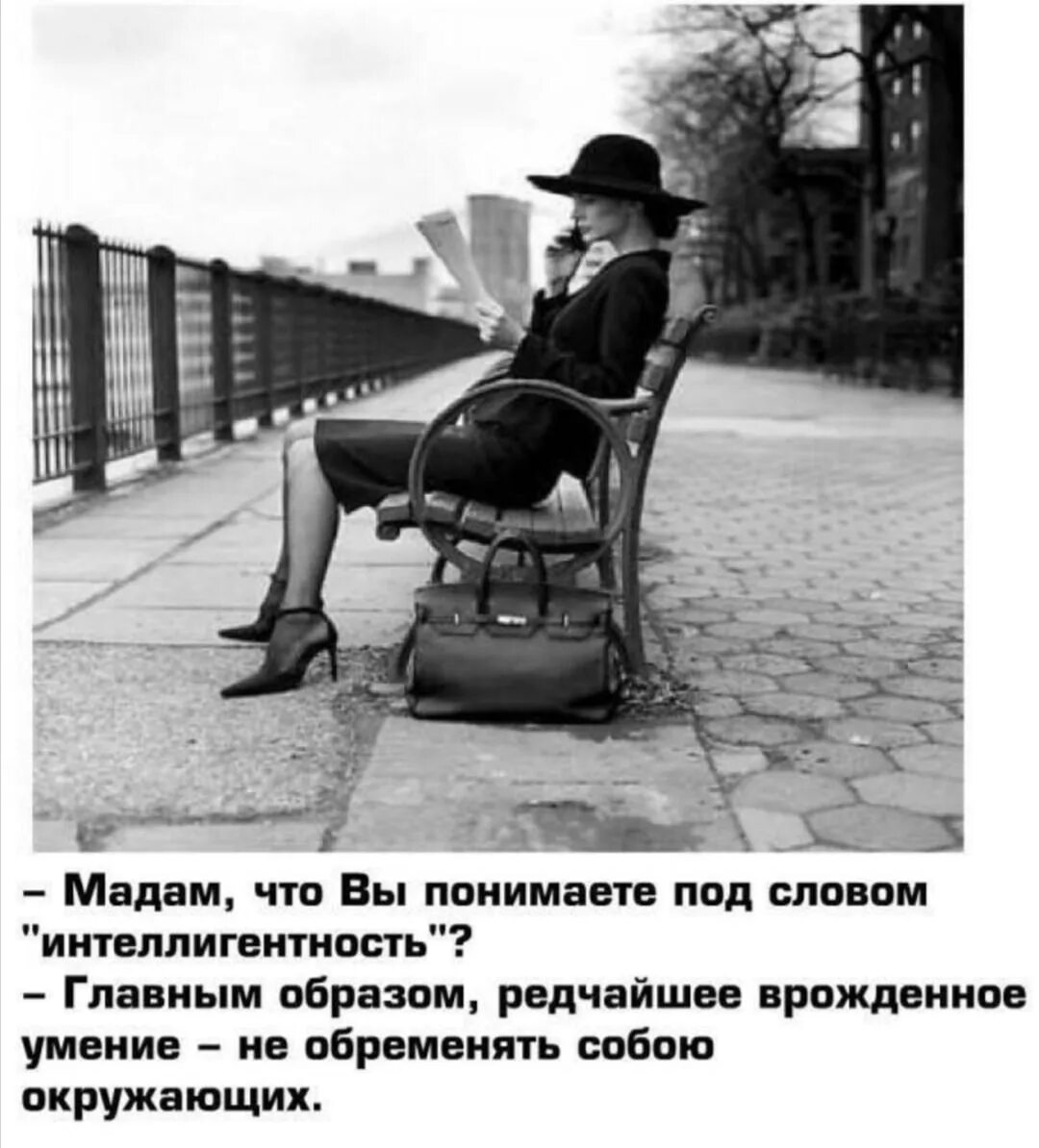 Не поняв главного. Интеллигентный человек цитаты. Цитаты про интеллигентность. Шутки про интеллигентов. Интеллигент юмор.
