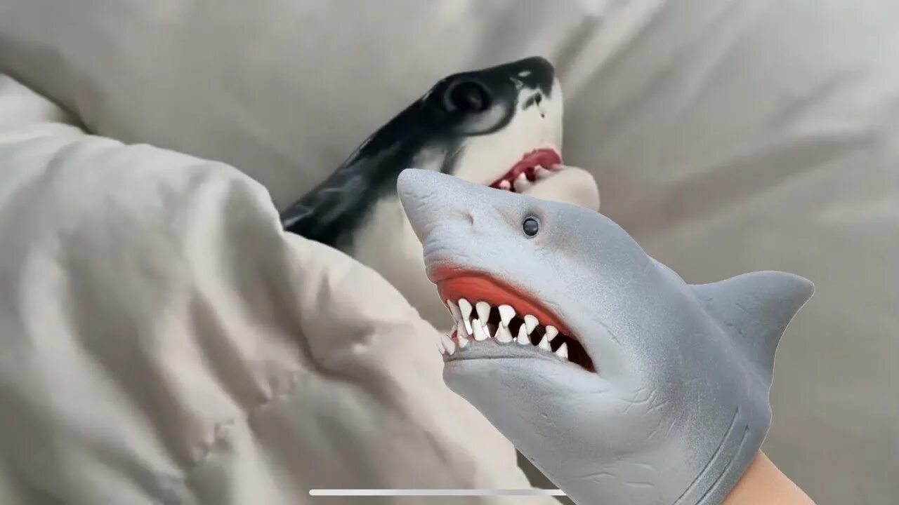Shark puppet