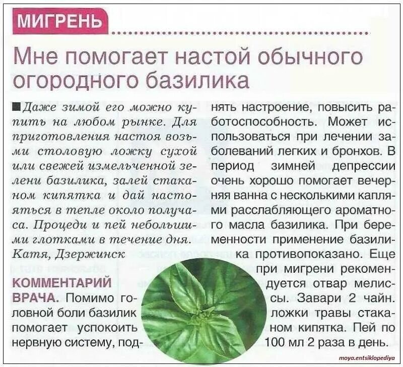 Можно ли применить листья