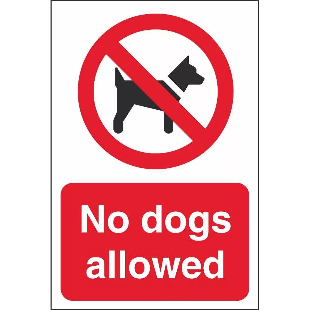 Allowed перевести. Dogs allowed. Allow картинка. Allow перевод. No Dogs allowed.