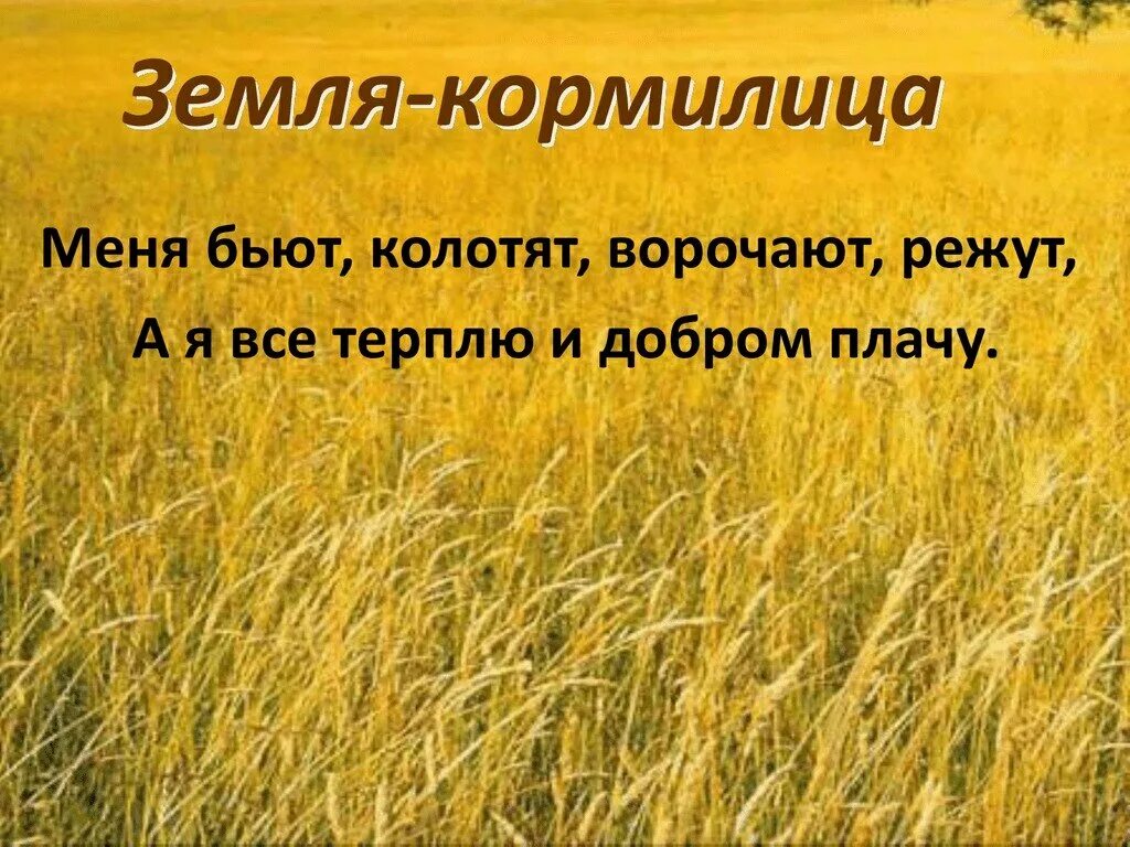 Пословицы о земле кормилице и растениях. Земля кормилица. загадки о земле. земля кормилица презентация. загадки о почве земле-кормилице.