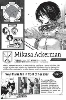 Attack on survey corps 0.15 1