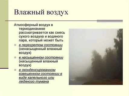 Сырой или мокрый как правильно