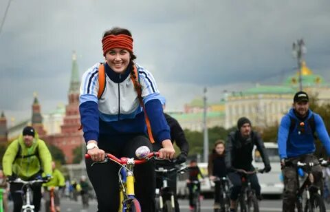 Вела сайт