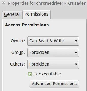 Chromedriver path