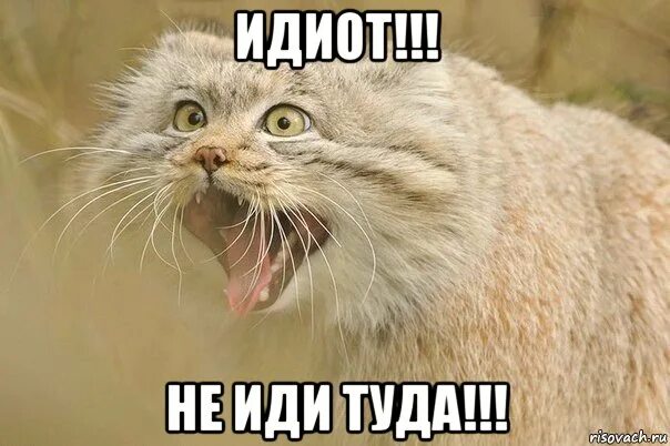 Идите туда пожалуйста