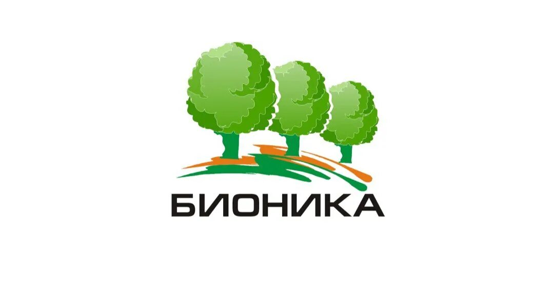 Ооо бионика