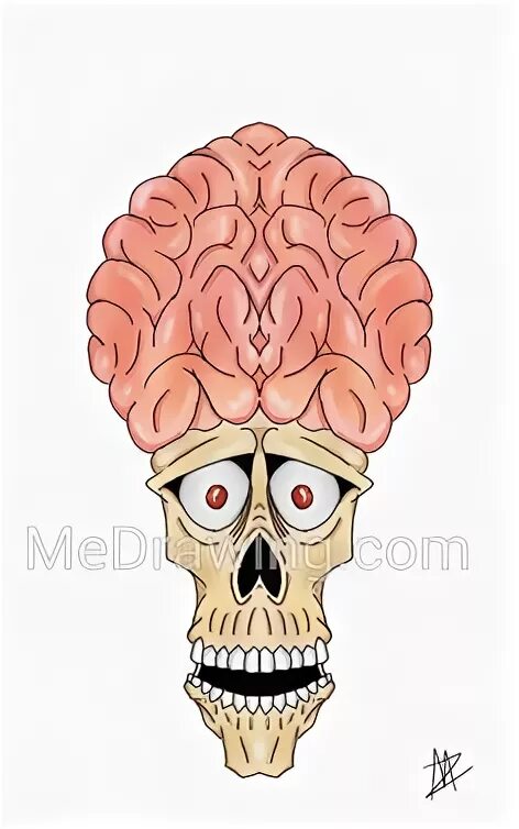 Мозг ВЧ черепе рисунок. Мультяшный череп с мозгом и глазами. Мозги без черепа