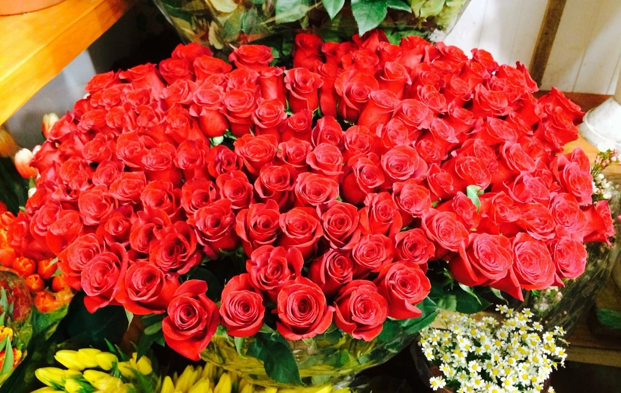 С днем рождения огромные розы. Букет шикарный. Огромный букет. Шикарные цветы. Шикарный букет роз.