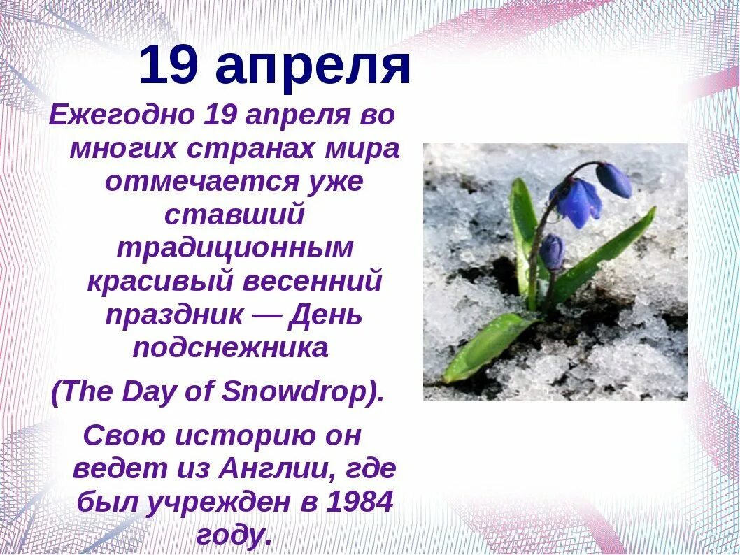 19 апреля статья. День подснежника. 19 Апреля праздник день подснежника. Подснежник 19 апреля. День подснежника 2021.