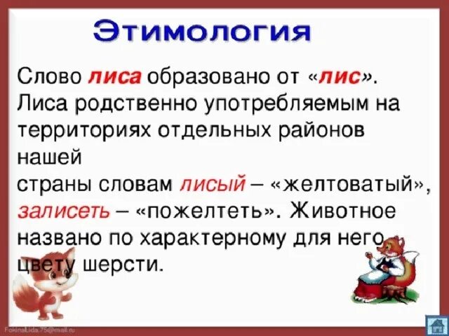 Значение слова образован. Этимология слова лиса. Этимология слова. Лисичка однокоренные слова. Этимологические слова лиса.